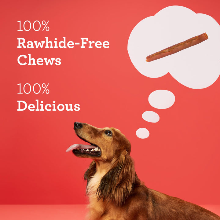 DreamBone DreamSticks, Rawhide Free Dog Chew Sticks Made with Real Beef and Vegetables, 15 Sticks 10.6 Ounce (Pack of 1)