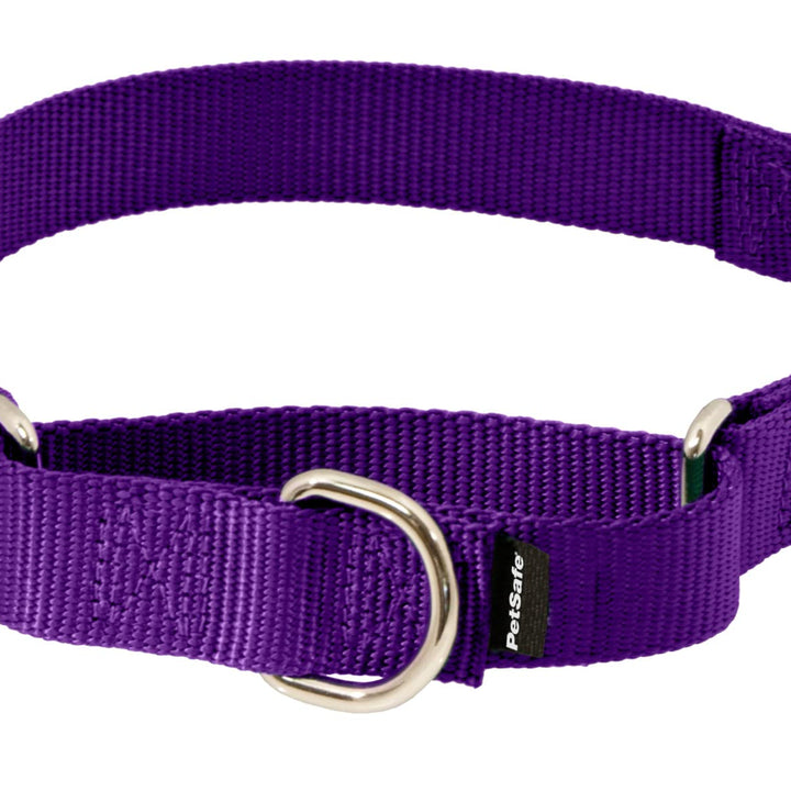 PetSafe Martingale Collar with Quick Snap Buckle, 3/8" Petite, Deep Purple PETITE (NYLON WIDTH 3/8")