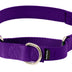 PetSafe Martingale Collar with Quick Snap Buckle, 3/8" Petite, Deep Purple PETITE (NYLON WIDTH 3/8")