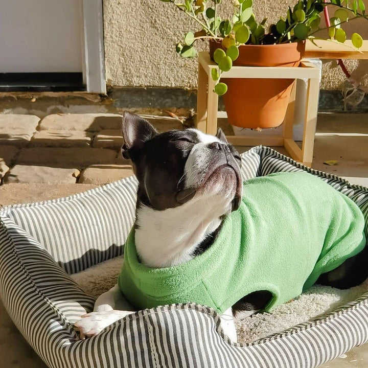 Gooby Stretch Fleece Vest Dog Sweater - Grass Green, Large - Warm Pullover Fleece Dog Jacket - Winter Dog Clothes for Small Dogs Boy - Dog Sweaters for Small Dogs to Dog Sweaters for Large Dogs Large Length (13.5")