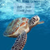 2019-2020 18 month planner: Weekly and monthly planner. Set your Goals and To-Dos. Track your progress with achievements summary. Increase ... 8.5'x5.5'. Portable. (Sea turtle blue cover).