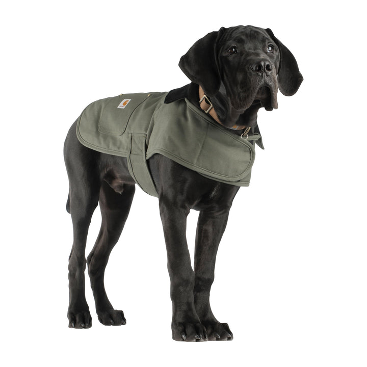 Carhartt Firm Duck Insulated Dog Chore Coat Army Green/Brass , Large