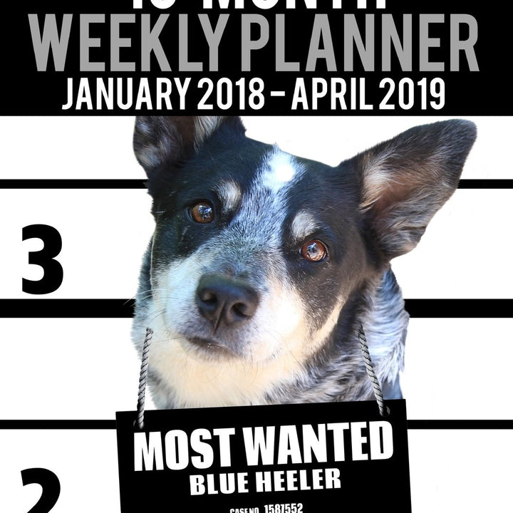 16 Month Weekly Planner January 2018-April 2019 - Most Wanted Blue Heeler: Daily Diary Monthly Yearly Calendar Large 8.5" x 11" Schedule Journal Organizer (Dog Planners 2018-2019)