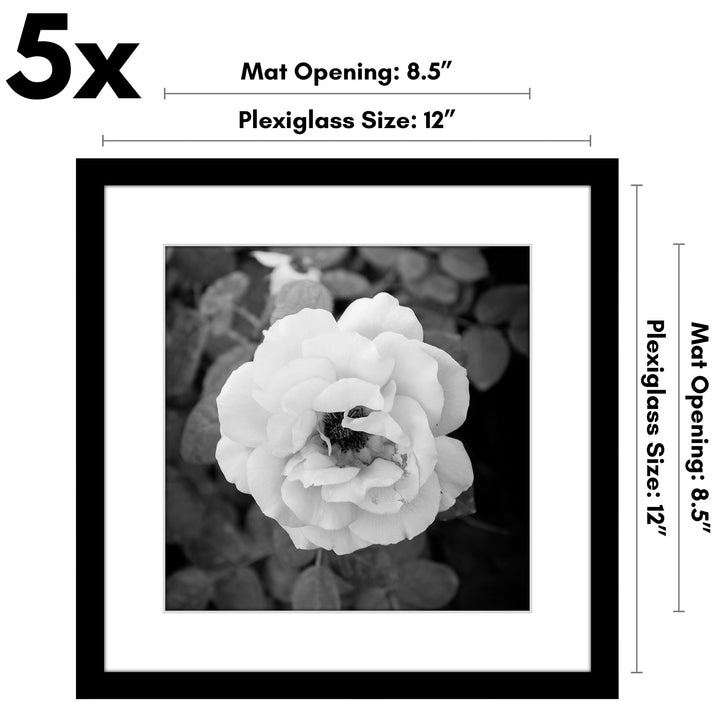 Americanflat 12x16 Picture Frame with Polished Plexiglass - Set of 5 - Use as 8.5x11 Frame with Mat or 12x16 Frame Without Mat - Galleria Collection - Gallery Wall Frame Set for Wall Display - White