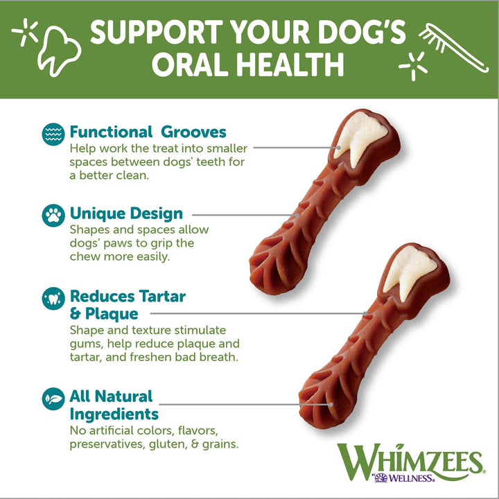 WHIMZEES by Wellness Brushzees Natural Dental Chews for Dogs, Long Lasting Treats, Grain-Free, Freshens Breath, Large Breed, 6 count 6 Count (Pack of 1) Standard Pack