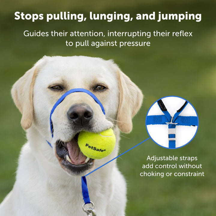 PetSafe Gentle Leader No-Pull Dog Headcollar - The Ultimate Solution to Pulling - Redirects Your Dog's Pulling For Easier Walks - Helps You Regain Control - Small, Raspberry Pink