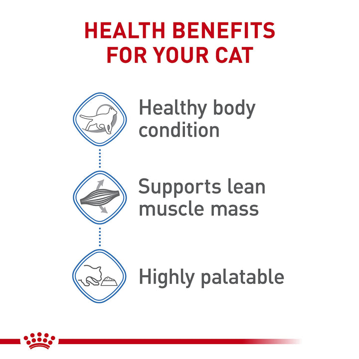 Royal Canin Feline Weight Care Thin Slices in Gravy Canned Adult Wet Cat Food, 3 oz can (6-pack) 3 ounce (Pack of 6)