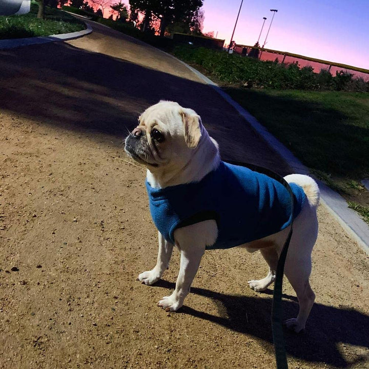 Gooby Stretch Fleece Vest Dog Sweater - Steel Blue, X-Large - Warm Pullover Fleece Dog Jacket - Winter Dog Clothes for Small Dogs Boy - Dog Sweaters for Small Dogs to Dog Sweaters for Large Dogs X-Large Length (16.5")