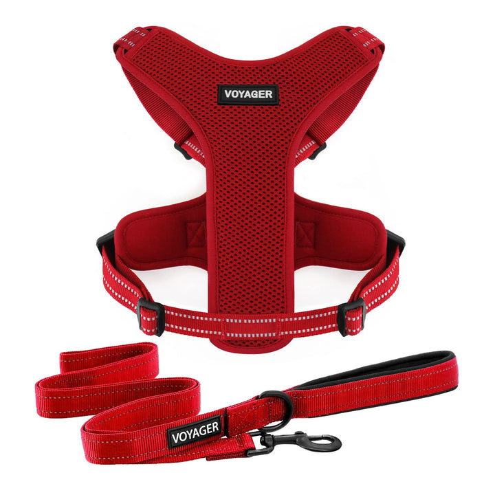 Air Frontier Mesh Dog Harness with and Reflective Dog Leash Set, Reflective Stitching, and Lightweight Breathable No-Pull Design, Adjustable Neck and Chest Straps for Small to Large Breeds - RDW, L