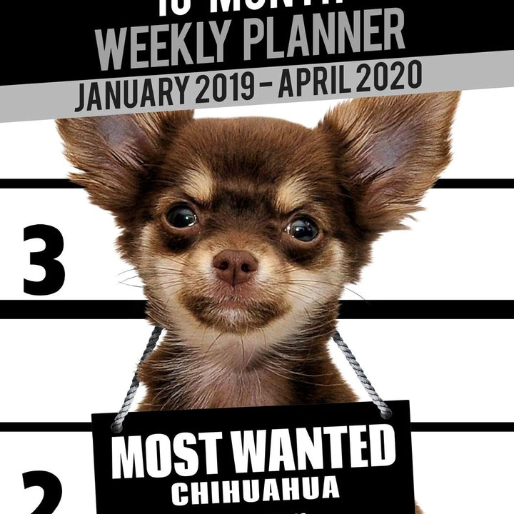 2019-2020 Weekly Planner - Most Wanted Chihuahua: Daily Diary Monthly Yearly Calendar Large 8.5" x 11" Schedule Journal Organizer Notebook Appointment (Dog Planners 2019-2020)