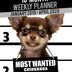 2019-2020 Weekly Planner - Most Wanted Chihuahua: Daily Diary Monthly Yearly Calendar Large 8.5" x 11" Schedule Journal Organizer Notebook Appointment (Dog Planners 2019-2020)