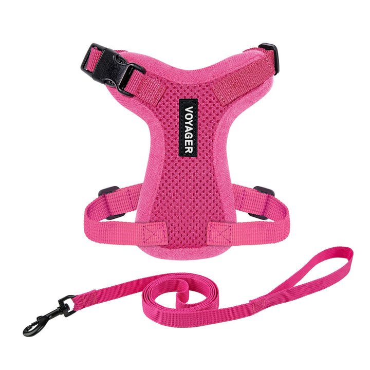 Voyager Step-in Lock Cat Harness w Reflective Cat Leash Combo Set with Neoprene Handle 5ft - Supports Small, Medium and Large Breed Cats by Best Pet Supplies - Fuchsia, XXXS Harness Leash Set (Fuchsia) XXXS (Chest: 10.5 - 13" * Fit Cats)