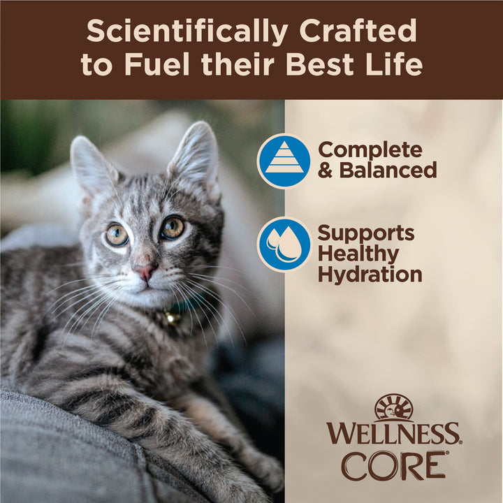 Wellness CORE Tiny Tasters Wet Cat Food, Complete & Balanced Natural Pet Food, Made with Real Meat, 1.75-Ounce Pouch, 12 Pack (Adult Cat, Flaked Tuna & Shrimp)