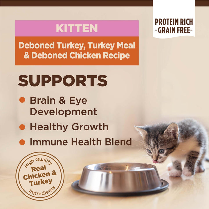 Wellness CORE Natural Grain-Free High Protein Adult Dry Cat Food Recipe, Turkey, Turkey Meal and Duck Formula, 11 Pound Bag 11 Pound (Pack of 1)