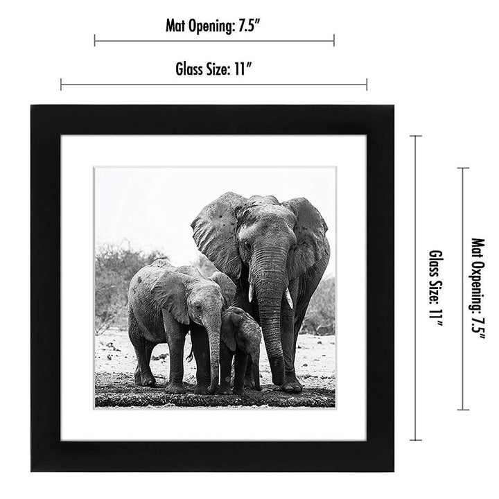 Americanflat 6x8 Picture Frame with Shatter-Resistant Glass - Use as 3x5 Frame with Mat or 6x8 Frame Without Mat - Signature Collection - Photo Frame for Tabletop and Wall Display - White 6x6