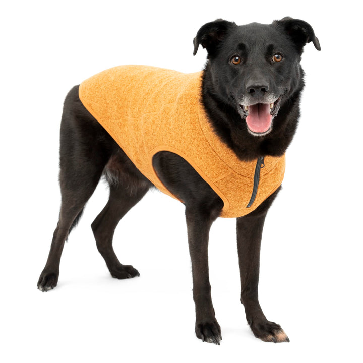 Kurgo Core Dog Sweater, Knit Dog Sweater With Fleece Lining, Cold Weather Pet Jacket, Zipper Opening for Harness, Adjustable Neck, Year-Round Sweater for Large Dogs (Orange, Large) Heather Orange