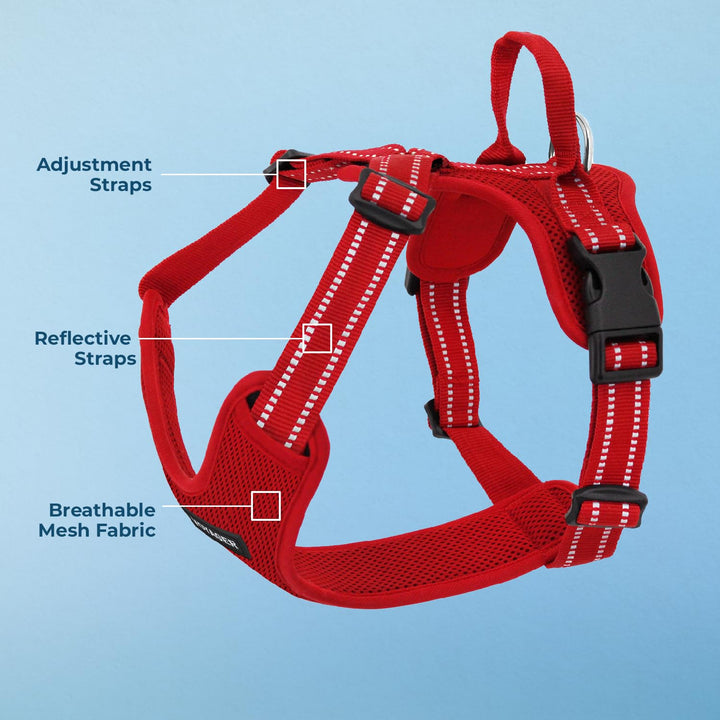 Air Frontier Mesh Dog Harness with Steel Leash D-Ring, Reflective Stitching, and Lightweight Breathable No-Pull Design, Adjustable Neck and Chest Straps for Small to Large Breeds - RDW, S