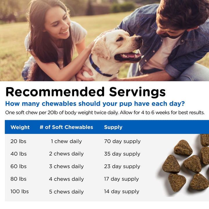 Nutri-Vet Adult-Vite Plus Soft Chews for Dogs |Formulated with Vitamins and Minerals | Supports Everyday Health | 70 Count, 6 Ounces