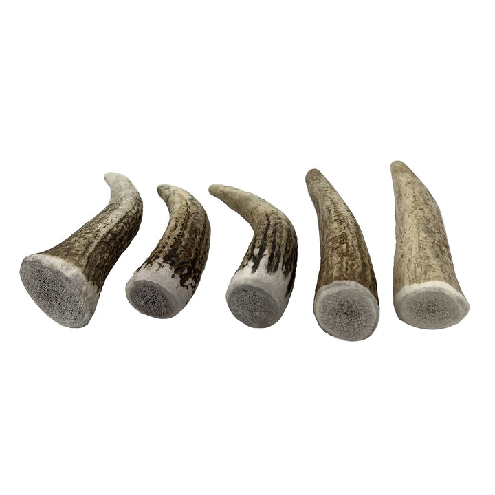 Elk Antler Chews for Dogs | Naturally Shed USA Collected Elk Antlers | All Natural A-Grade Premium Elk Antler Dog Chews | Product of USA, 5-Pack Small Whole 5 Count (Pack of 1)