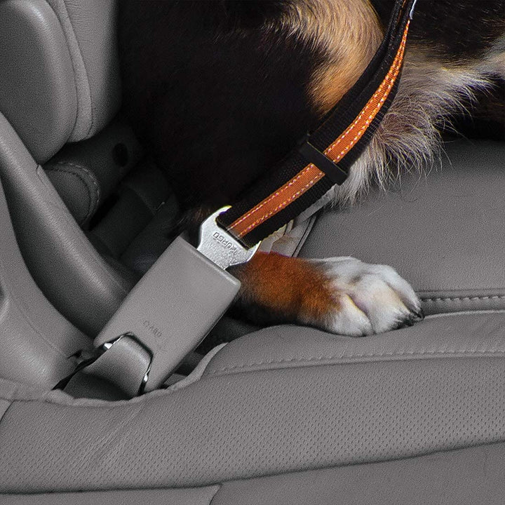 Kurgo Direct to seat belt Tether for Dogs, Car seat belt for Pets, Adjustable Dog Safety Belt Leash, Quick & Easy Installation, Works with Any Pet Harness, Carabiner, Swivel, Bungee, Zipline Orange 1 Pack