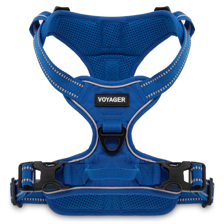 Voyager Dog Harness Dual Leash Attachment No-Pull Control Adjustable Soft but Strong Pet Harness for Medium and Large Dogs with 3M Reflective Technology - Royal Blue Lattice, XL (Chest: 28 - 37") XL (Chest: 28 - 37") Harness (Royal Blue Lattice Nylon)