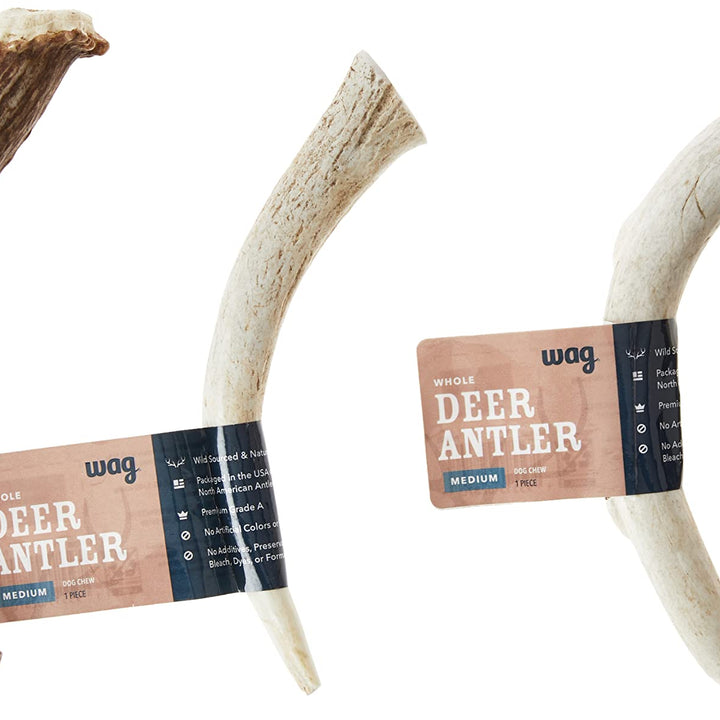 Wag Deer Antler Chew for Dogs, Naturally Shed, Whole, Medium 6 - 7.5 inches, Best for Dogs 15-30 lbs, 1.80 Ounce (Pack of 1) 1.8 Ounce (Pack of 1)