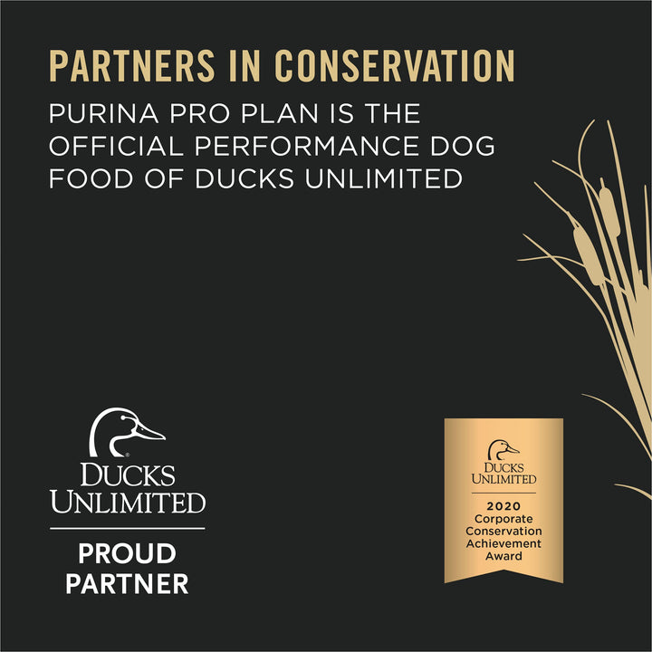 Purina Pro Plan High Protein Dog Food, Sport 30/20 Salmon and Rice Dog Food Dry Formula - 33 lb. Bag Salmon & Rice 33 Pound (Pack of 1)