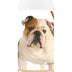 Healthy Breeds Bulldog Oatmeal Shampoo with Aloe 16 oz Oatmeal 16 oz