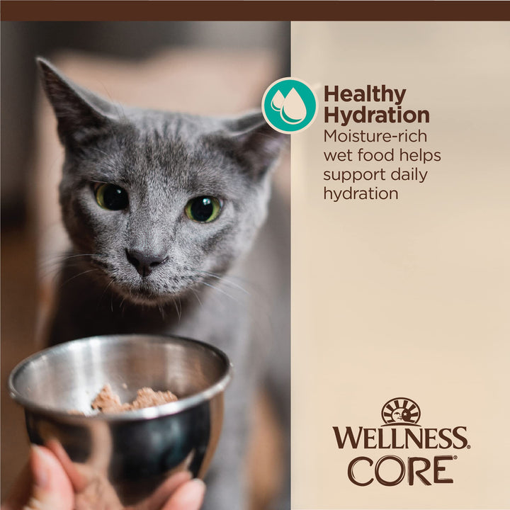 Wellness CORE Tiny Tasters Wet Cat Food, Complete & Balanced Natural Pet Food, Made with Real Meat, 1.75-Ounce Pouch, 12 Pack (Adult Cat, Flaked Tuna & Salmon in Gravy) Adult Cat 1.75 Ounce (Pack of 12)