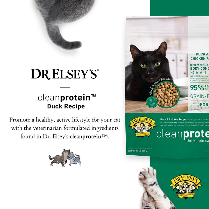 Dr. Elsey's Cleanprotein Salmon Formula Dry Cat Food, 6.6 Lb 6.6 Pound (Pack of 1)