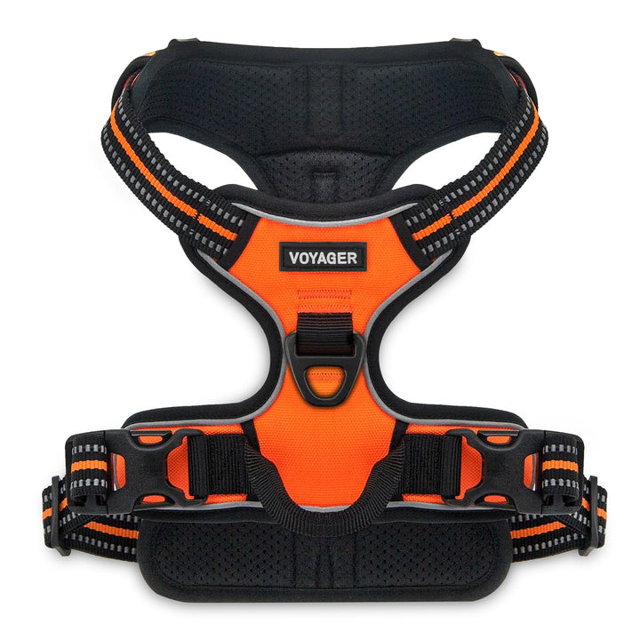 Dog Harness Dual Leash Attachment No-Pull Control Adjustable Soft but Strong Pet Harness For Medium And Large Dogs With 3M Reflective Technology - Orange, XS (Chest: 13 - 16") XS (Chest: 13 - 16") Harness (Orange Nylon)
