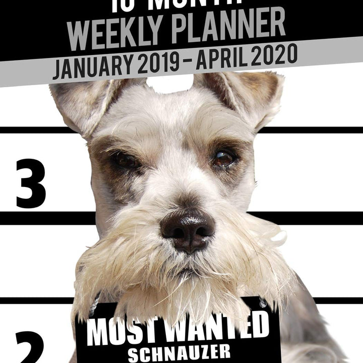 2019-2020 Weekly Planner - Most Wanted Schnauzer: Daily Diary Monthly Yearly Calendar Large 8.5" x 11" Schedule Journal Organizer Notebook Appointment (Dog Planners 2019-2020)