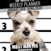 2019-2020 Weekly Planner - Most Wanted Schnauzer: Daily Diary Monthly Yearly Calendar Large 8.5" x 11" Schedule Journal Organizer Notebook Appointment (Dog Planners 2019-2020)