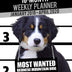 2019-2020 Weekly Planner - Most Wanted Bernese Mountain Dog: Daily Diary Monthly Yearly Calendar Large 8.5" x 11" Schedule Journal Organizer Notebook Appointment (Dog Planners 2019-2020)