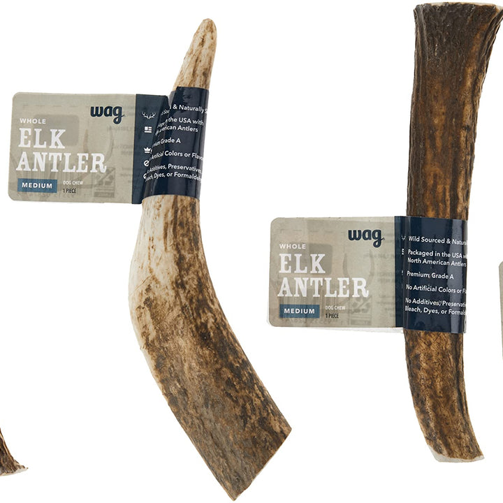 Wag Dog Elk Antler Chew, Naturally Shed, Whole, Medium 6-7.5 inches (Best for Dogs 15-30 lbs), 2.90 Ounce (Pack of 1) 2.9 Ounce (Pack of 1)