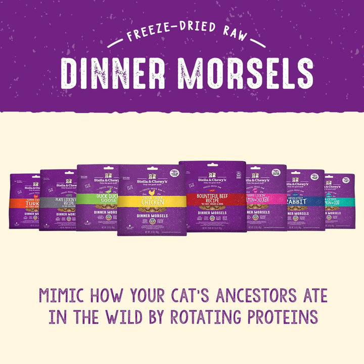 Stella & Chewy's Freeze-Dried Raw Cat Dinner Morsels – Grain Free, Protein Rich Cat & Kitten Food – Plate Lickin' Pork Recipe – 18 oz Bag 18 Ounce (Pack of 1)