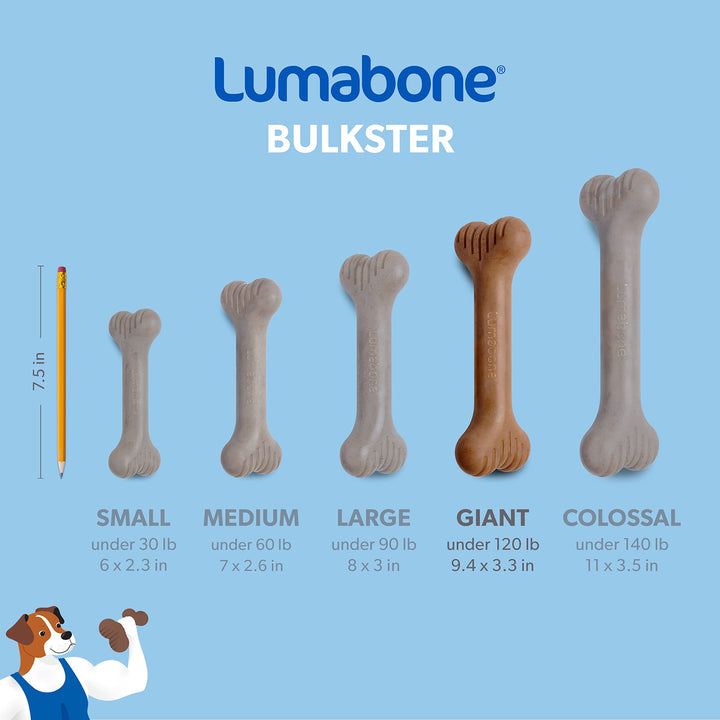 Bulkster Durable Chew Toy for Aggressive Chewers, Real Beef, Made in USA, Giant