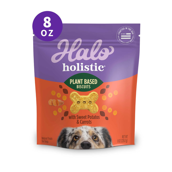 Halo Plant-Based Dog Treats with Peanuts & Pumpkin, Vegan Dog Treat Pouch, 8 oz bag Peanut n’ Pumpkin 8 Ounce (Pack of 1)