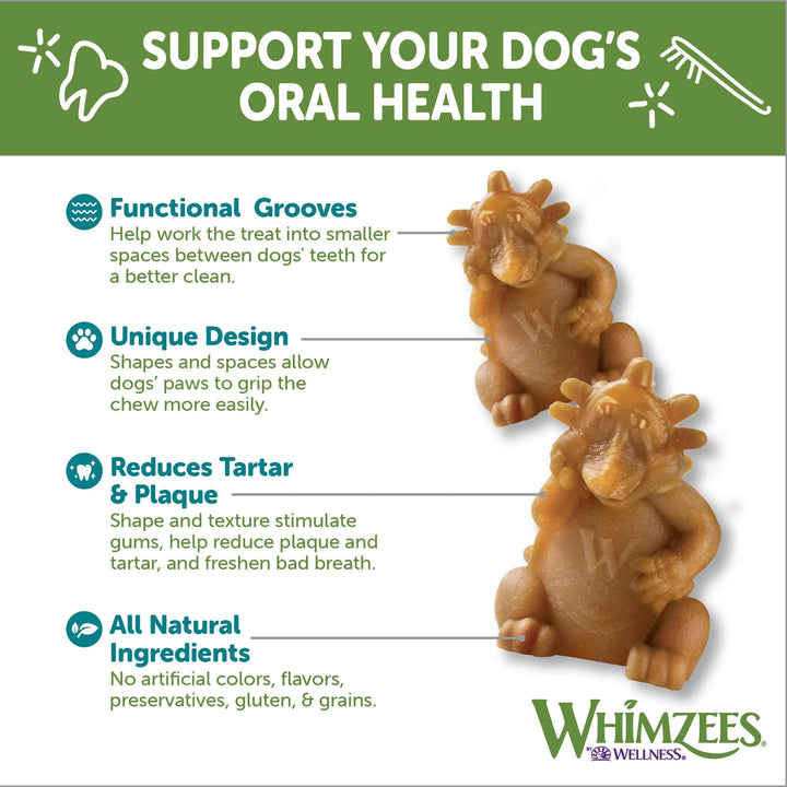 WHIMZEES by Wellness Hedgehog Natural Dental Chews for Dogs, Long Lasting Treats, Grain-Free, Freshens Breath, Large Breed, 6 Count