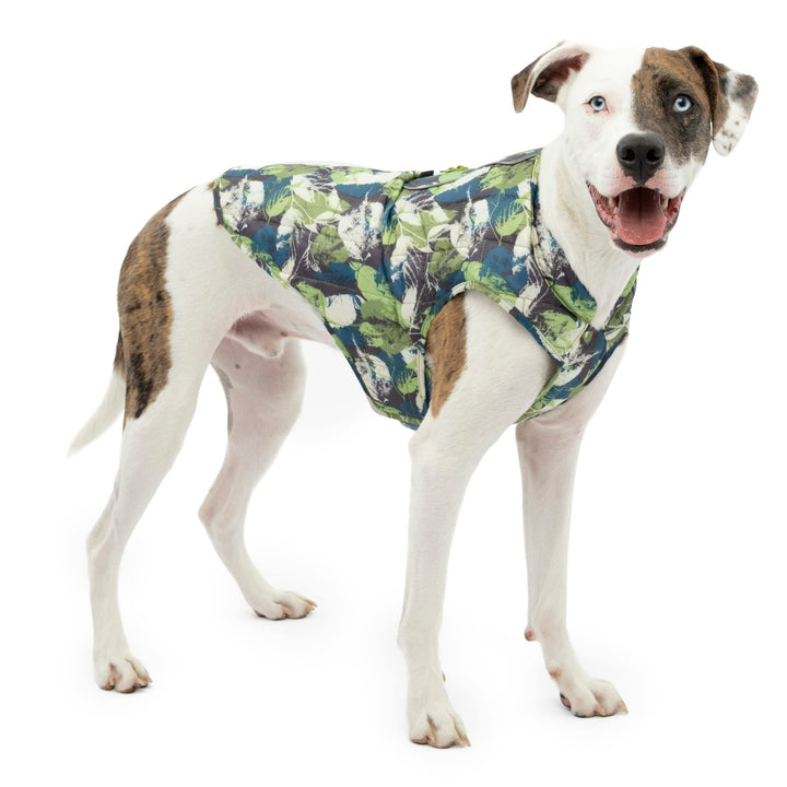 Kurgo Loft Dog Jacket, Reversible Dog Coat, Wear with Harness or Sweater, Water Resistant, Reflective, Winter Coat For Medium Dogs (Pressed Leaf, M) Pressed Leaf