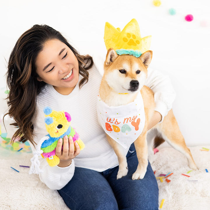 Pearhead Puppy Pinata Dog Toy, Rope Tug Toy for Dogs, Colorful Interactive Dog Toys, Party Pinata Toy for Dogs, Plush Chew Toy, Pet Owner Must Have Toy Pearhead Puppy Pinata Dog Toy