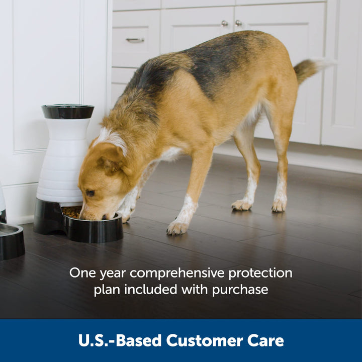 PetSafe Healthy Pet Food Station - Small, 2 lb Kibble Capacity - Automatic Cat Feeder or Small Dog Feeder - Removable Stainless Steel Bowl Resists Corrosion & Stands Up to Frequent Use - Easy to Fill