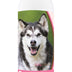 Healthy Breeds Alaskan Malamute Deodorizing Shampoo 16 oz