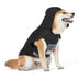 Star Wars: Darth Vader Halloween 2022 Pet Costume -X-Large - |Star Wars Halloween Costumes for Dogs, Funny Dog Costumes | Officially Licensed Star Wars Dog Halloween Costume, Black (FF14747-22) X-Large