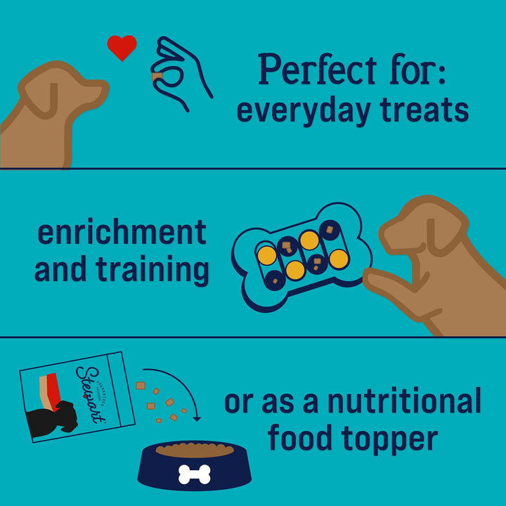 Stewart Freeze Dried Dog Treats, Beef Liver, Grain Free & Gluten Free, 14 Ounce Resealable Tub, Single Ingredient, Made in USA, Dog Training Treats