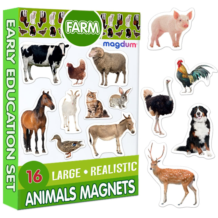 16 Fridge Magnets for Toddlers Magdum - Farm Photo Kids Magnets for Fridge - Toddler Magnets for Refrigerator - Magnetic Animals - Fridge Magnets for Kids - Animal Magnets - Toddler Fridge Magnets