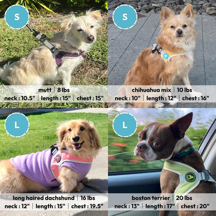 Gooby Simple Step in III Harness - Blue, Medium - Small Dog Harness with Scratch Resistant Outer Vest - Soft Inner Mesh Harness for Small, Medium Dogs Medium chest (16.75∼21.5")