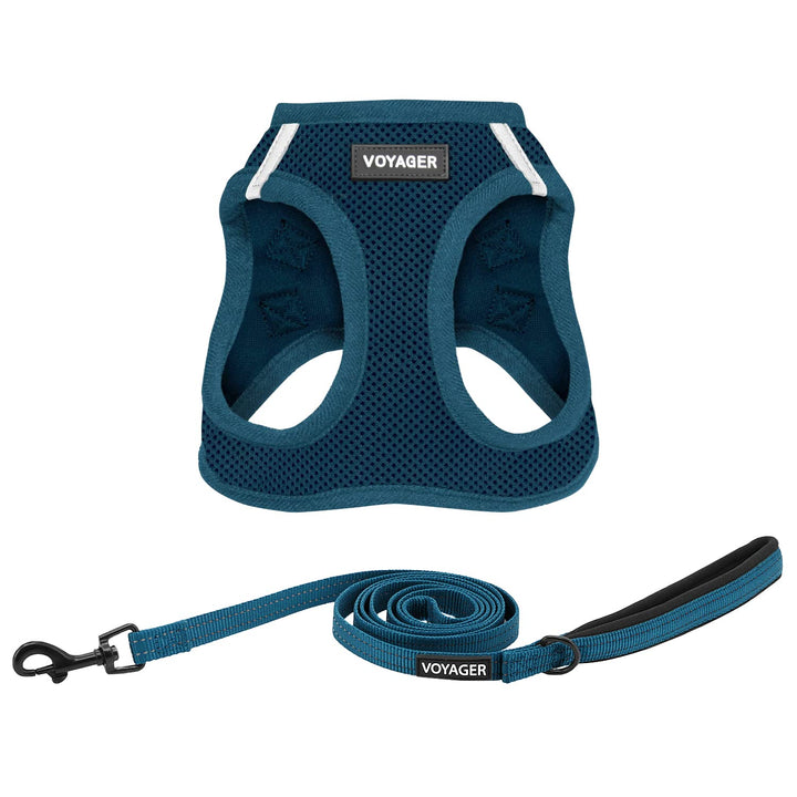 Voyager Step-in Air All Weather Mesh Harness and Reflective Dog 5 ft Leash Combo with Neoprene Handle, for Small, Medium and Large Breed Puppies by Best Pet Supplies - Harness Leash Set (Blue), L Harness Leash Set (Blue) L (Chest: 18 - 20.5")