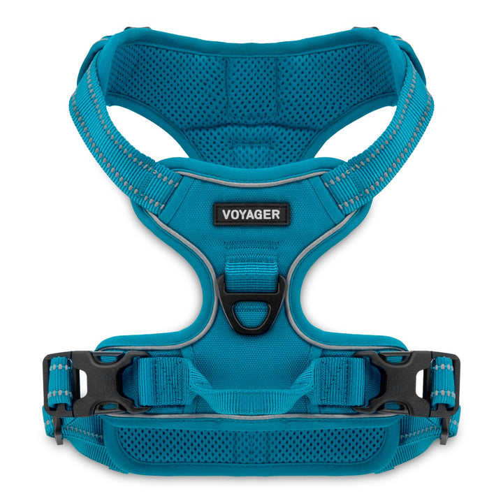 Voyager Dog Harness Dual Leash Attachment No-Pull Control Adjustable Soft But Strong Pet Harness For Medium And Large Dogs With 3M Reflective Technology - Turquoise, XL (Chest: 28 - 37")