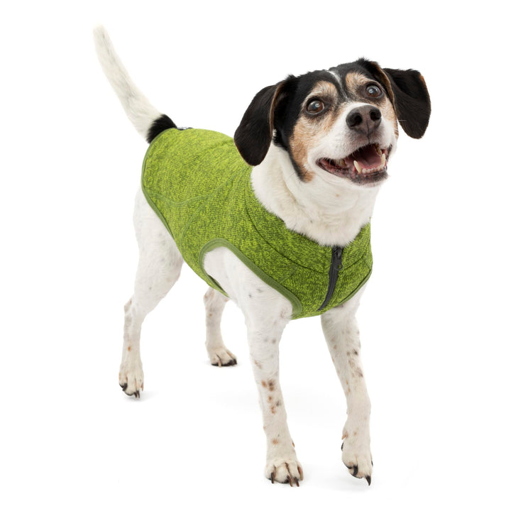 Kurgo Core Dog Sweater, Knit Dog Sweater With Fleece Lining, Cold Weather Pet Jacket, Zipper Opening for Harness, Adjustable Neck, Year-Round Sweater for Small Dogs (Green, X-Small) Extra Small Heather Green